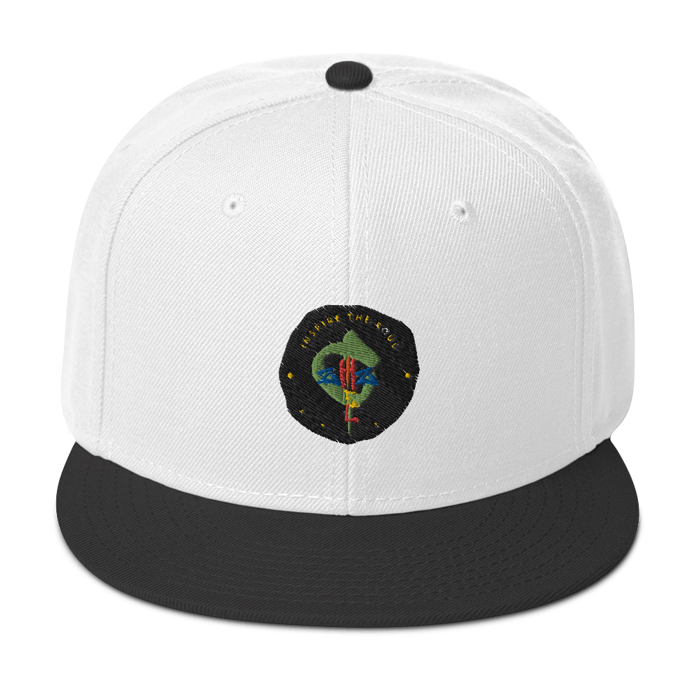 aChizzel Snapback Hat