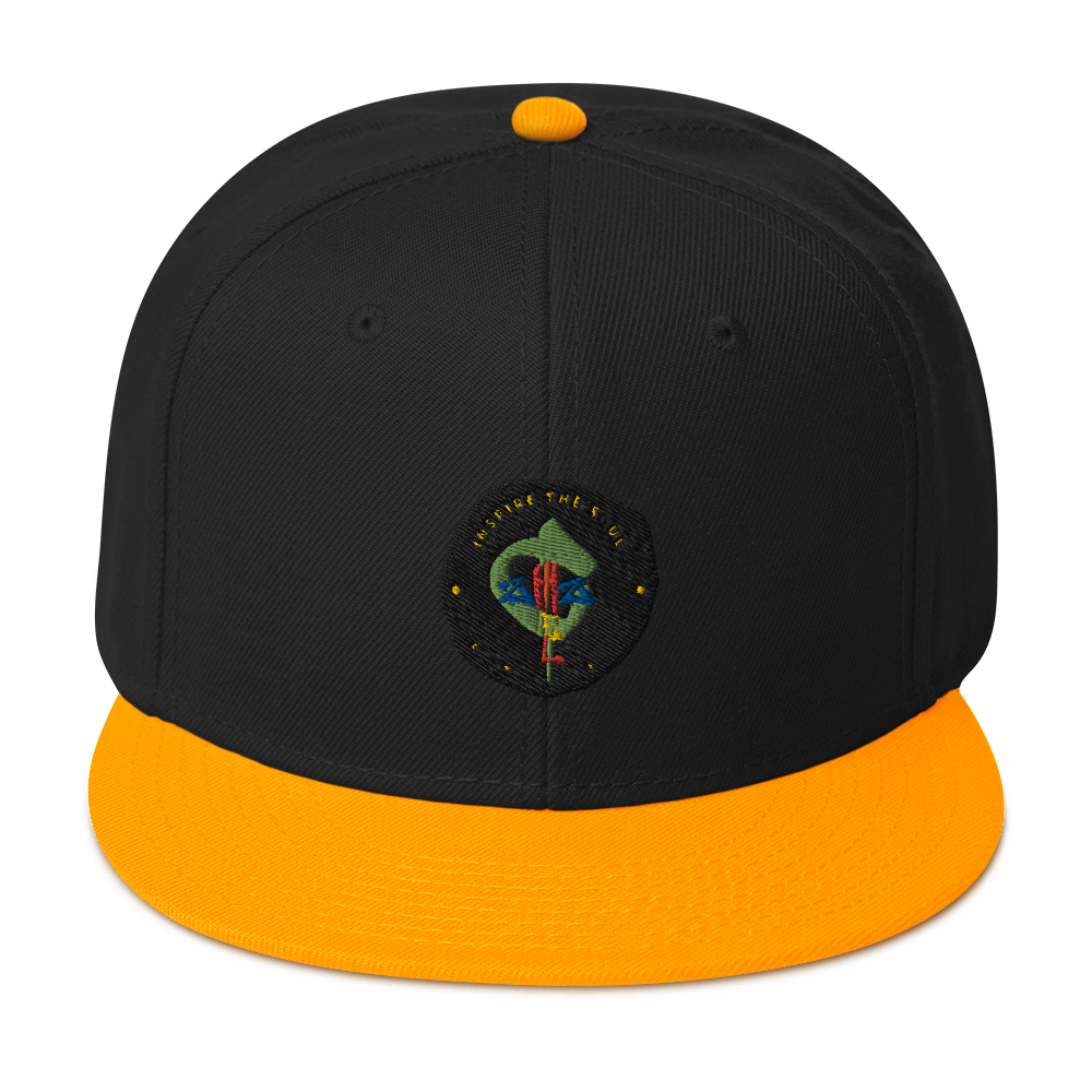 aChizzel Snapback Hat