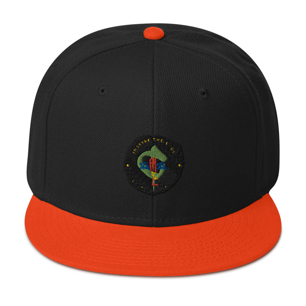 aChizzel Snapback Hat