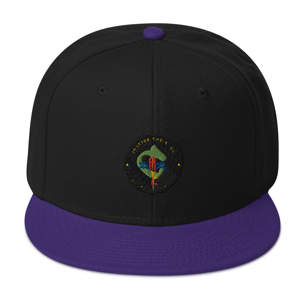 aChizzel Snapback Hat