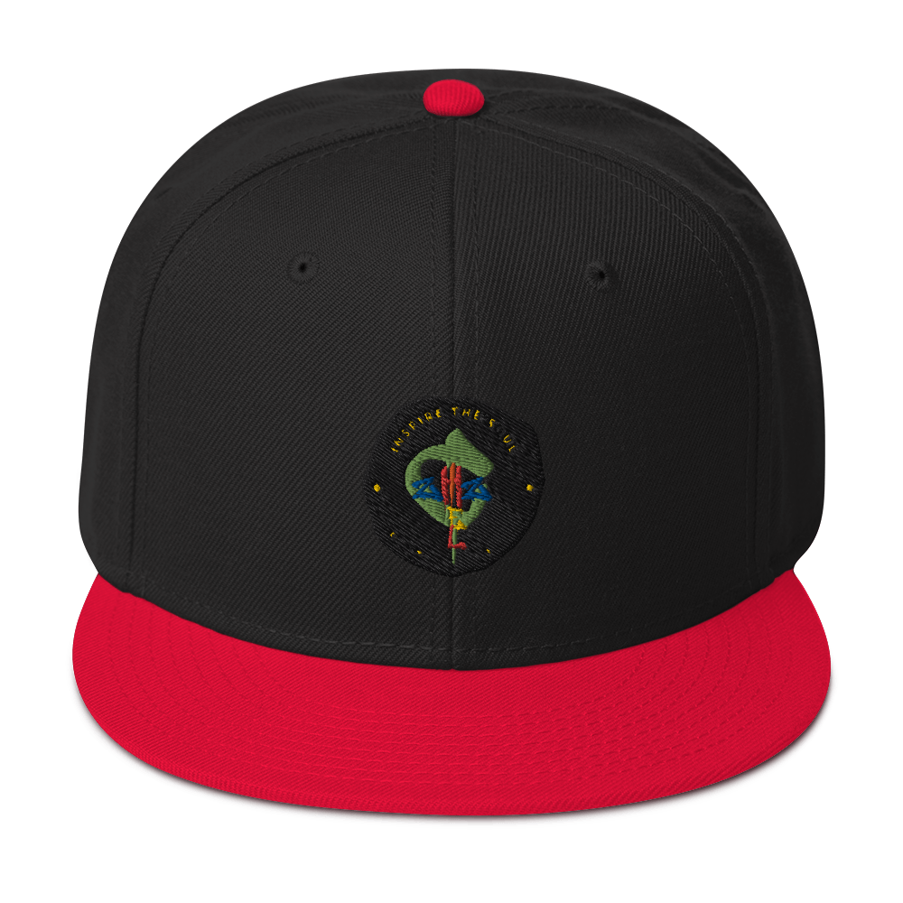 aChizzel Snapback Hat